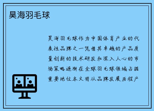 昊海羽毛球