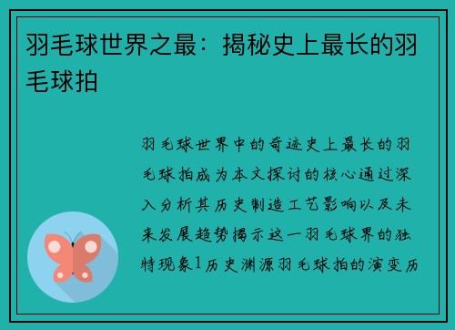 羽毛球世界之最：揭秘史上最长的羽毛球拍