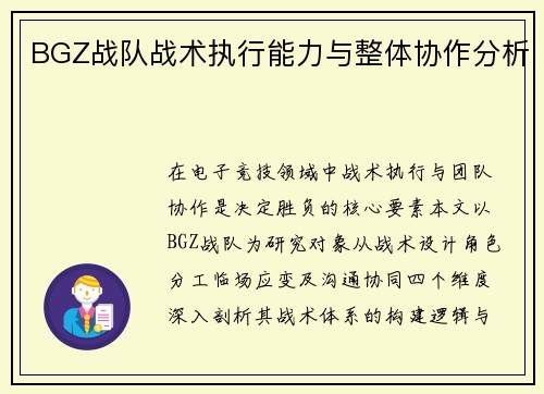 BGZ战队战术执行能力与整体协作分析