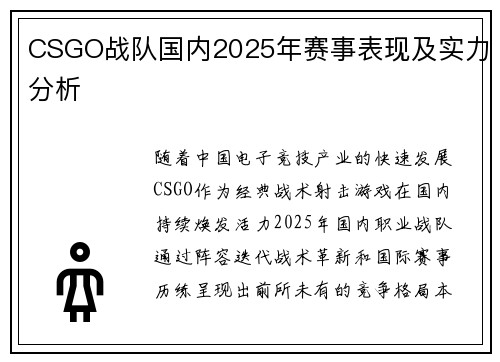 CSGO战队国内2025年赛事表现及实力分析